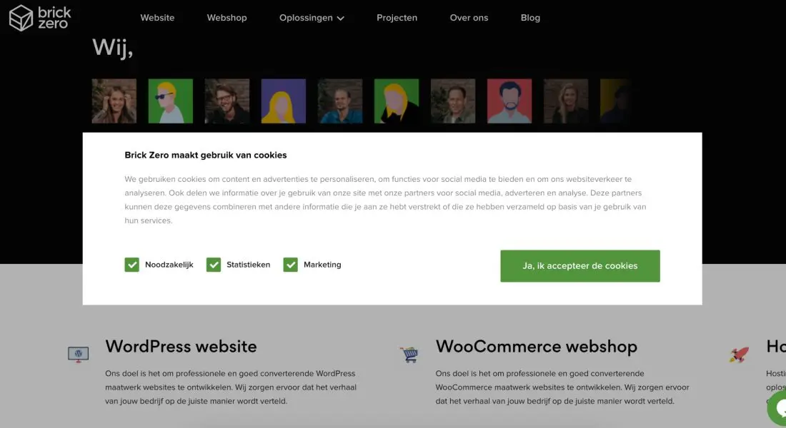 brick-zero-cookies-op-een-website brick-zero-cookies-op-een-website