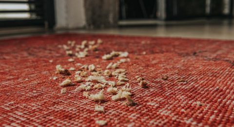 Broodkruimels op tapijt